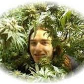 Obituary information for Christopher Anthony Hancock