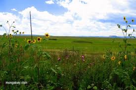 Maybe you would like to learn more about one of these? Scenery Of The Las Vegas National Wildlife Refuge Just Outside Of Las Vegas New Mexico