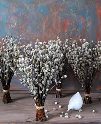 Birch Branches For Sale Near Me Pin On Plants
