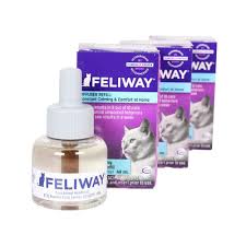 Amazon Com Ceva Animal Health C23850c Feliway Refill For 30 Days 48ml Pet Supplies Diffuser Refills Pet Health Refill