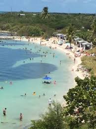 Lush coconut palms against a backdrop of white sand and clear tropical waters make this park's campground one of the most popular in the state. Bahia Honda State Park Campgrounds Bahia Honda State Park State Parks Florida State Parks