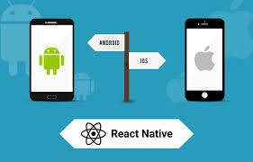 Is Facebook S React Native The Future Of Hybrid App Development 5 Pros And Cons Bluewhaleapps