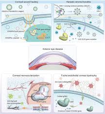 Image result for Eye Rest Green 1972 Hussmann