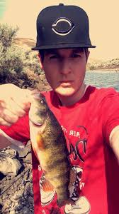 Perch fishing tips for beginners