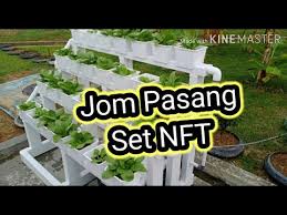 Jabatan pertanian negeri perak | twuko. Download Jabatan Pertanian Negeri Perak Kaedah Tanam Cli 3gp Mp4 Codedwap