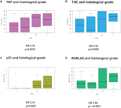 We did not find results for: Prognostic And Therapeutic Value Of The Hippo Pathway Rabl6a And P53 Mdm2 Axes In Sarcomas Oncotarget
