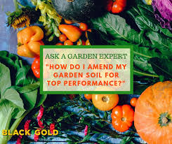 We did not find results for: Black Gold How Do I Amend My Garden Soil For Top Performance