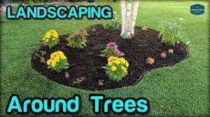Plants can stand to attention to emphasize height or tumble over the edges for a softer look. Landscaping Edging Mulching Around Trees Youtube