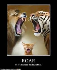 We Really Got This I Am Woman Hear Me Roar Meow Crazy Cats Funny Cats Wild Cats