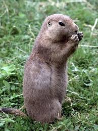 Standing And Eating Funny Meme Pictures Beer Humor Funny Puns