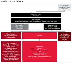 the university of amsterdam and its organisational chart