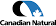 Software Engineer Intern — Developer Student (Calgary) image