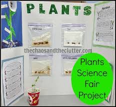 Plants Science Fair Project Plant Science Fair Projects Cool Science Fair Projects Science Fair Projects