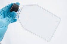 And where women is in conversation with #metoo, animal is in conversation with the anger that follows the reckoning. Optimizing Cell Culture Media