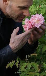 Buy Fragrances, Perfume & Cologne by Michel Germain