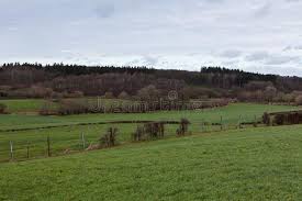 The landscape of belgium varies widely. Tree Meadow Clouds Wood Raeren Belgium Stock Image Image Of Hedgerow Ecology 166703265