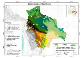 929x1143 / 143 kb go to map. Mapas Ecosistemas De Bolivia Faunagua