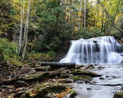 Situated on the left fork of the holly river near the town. 25 Best West Virginia Campgrounds