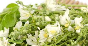 I tried to cover the majority of bangladeshi fruits. à¦à¦‡ à¦¤ à¦¸à¦®à¦¯ à¦Ÿ à¦° à¦‡ à¦•à¦° à¦‡ à¦« à¦² à¦¨ Moringa Flower Recipe In Bengali Popxo Bengali