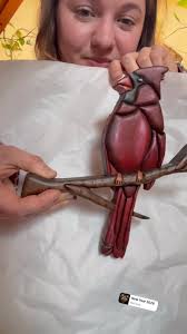 What do you guys think about my cardinal?