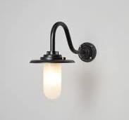 Wall Light For Artwork Fabo Well Glass Swan Neck Outdoor Wall Light |  Outdoor Lighting Antique Brass Wall Lights