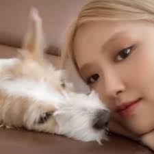 Discover 210 (ROSÈ dog) Hank ❥ and rosé dog ideas