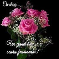 Cele mai frumoase rochii de ocazie de la branduri renumite. 650 BunÄ Seara Ideas Citate Frumoase FelicitÄri Ganduri Bune