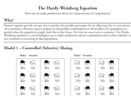 Summarize the key points of your discussion here. Solved The Hardy Weinberg Equation How Can We Make Predic Chegg Com