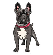 It's high quality and easy to use. French Bulldog Sketch Vector Images Over 780