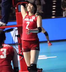 ボード バレーボール のピン