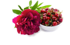 Dolce peony by dolce&gabbana is a floral fruity gourmand fragrance for women. Luscious Cherry Peony Glade Fragrances