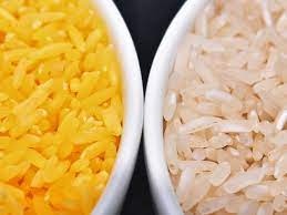 Campaign is a combination of direct action demonstrations and education. In A Grain Of Golden Rice A World Of Controversy Over Gmo Foods The Salt Npr