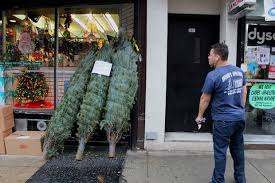 Pet nv discounts, located in brooklyn, ny, offers discount pet supplies for dogs, cats, small mammals, reptiles, birds, and more. Brooklyn Pet Shops Give Away Free Christmas Trees To Police Park Slope New York Dnainfo