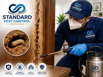 Wood Borer Treatment bangalore