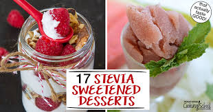 Healthy nutrition for people with diabetes. 17 Stevia Sweetened Desserts That Actually Taste Good