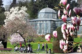 Der botanische garten, den die stadt metz 1866 von der baronin de l'espée gekauft hat, zählt zu auf einer fläche von 4,4 hektar im stil eines landschaftsparks oder «englischen gartens» finden. Wilhelma Horst Becker Touristik Ihr Busreiseveranstalter Im Saarland