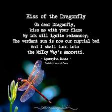 Extreme sexual conflict resolution in a dragonfly, ecology (2017). 10 Animals As Omens When They Cross Your Path