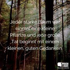 Jeder Starke Baum War Einmal Eine Kleine Pflanze Und Jede Grosse Tat Beginnt Mit Einem Kleinen