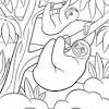 Sloths are the sluggish tree dwellers of the south and central american. 1