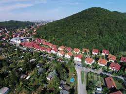 Hasseroder Ferienpark Online Buchen Lidl Reisen Reisen Ferien Ruckreise