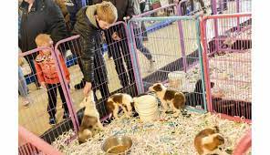 Parc des expositions de strasbourg. Epinal Animaux Le Chiot Superstar Du Week End Au Centre Des Congres D Epinal