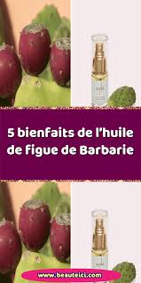 5 Bienfaits De L Huile De Figue De Barbarie Figue De Barbarie Figues Soins De La Peau
