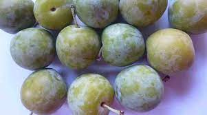 This unique fruit can be enjoyed atop a serving of yogurt, chopped into salsa or blended into a smoothie with other types of fruit. Types Of Plums Black Red And More Varieties With Pictures
