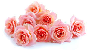 You can download these images to set as desktop background. Roses Beautiful Flowers Flower Bouquet Wallpapers Hd Desktop And Mobile Backgrounds