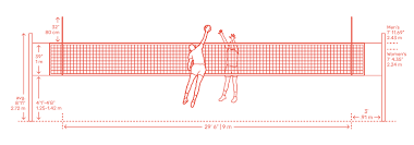 Volleyball Nets Dimensions Drawings Dimensions Guide