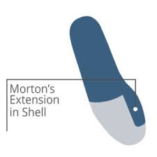 The morton´s extension insole is most suitable for morton's toe, turf toe and hallux rigidus. M Is For Morton S Extension Solo Labs