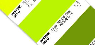 Lime Green Pantone Colour Pantone Color Pantone Swatches