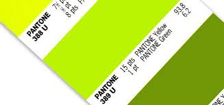 lime green pantone colour pantone color pantone swatches