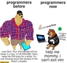 Bored panda's collected some of the best 'then and now' doge vs. Doge Programmers Before Vs Now Help Me Mommy I Can T Exit Vim Starecat Com
