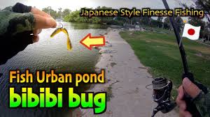How To Finesse Fish In An Urban Pond / Issei bibibi bug - YouTube